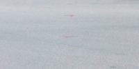 IMG_20180426_121757